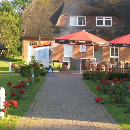 Hotel Alt Wittower Krug Wiek auf Rügen Εξωτερικό φωτογραφία