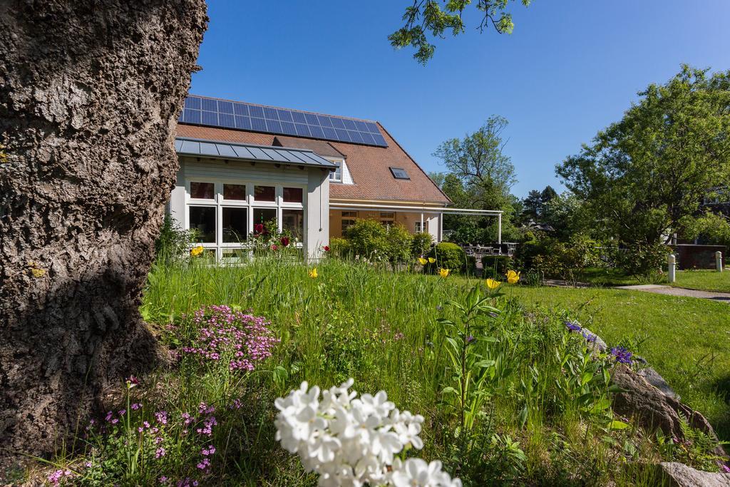 Hotel Alt Wittower Krug Wiek auf Rügen Εξωτερικό φωτογραφία