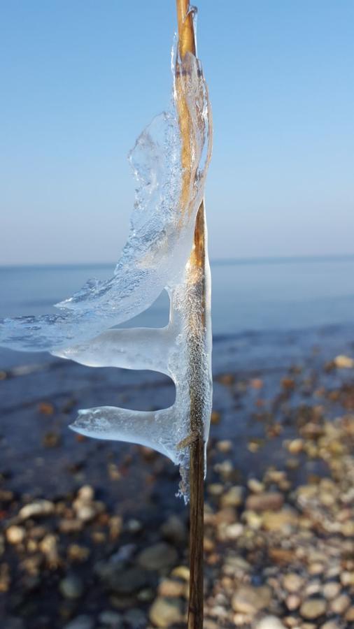 Hotel Alt Wittower Krug Wiek auf Rügen Εξωτερικό φωτογραφία